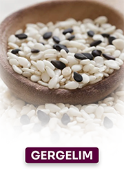 CAPA-MÓDULO_0013_10